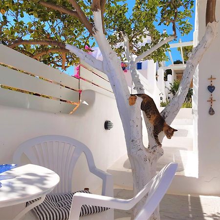Lemon Tree Maisonette - Naoussa Paros Ngoại thất bức ảnh