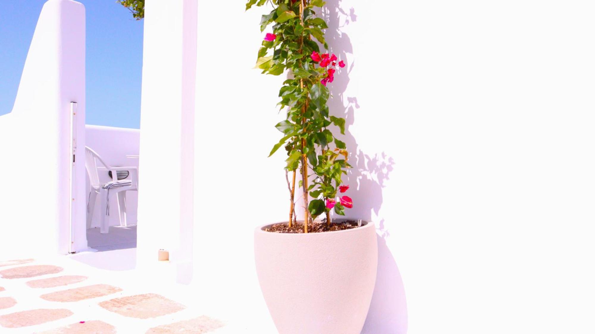 Lemon Tree Maisonette - Naoussa Paros Ngoại thất bức ảnh