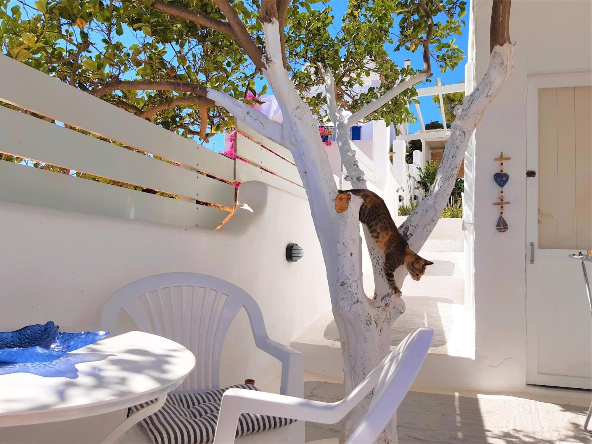 Lemon Tree Maisonette - Naoussa Paros Ngoại thất bức ảnh